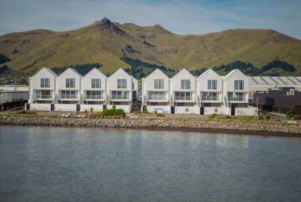 Waterfront row of architecturally designed homes showcasing bespoke new build houses, modern housing developments, and residential construction projects managed by a New Zealand homebuilding company.